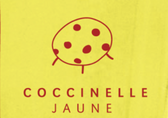 CoccinelleJaune2-300x212.png