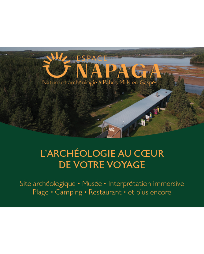 Pub Napaga Guide Gq Pave Numerique