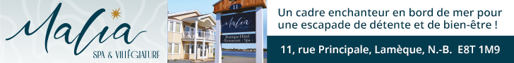 Mega Banniere Malia Spa Et Villegiature Fr